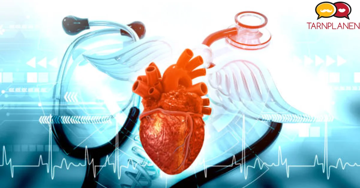 Fonendi: The Future of Digital Communication