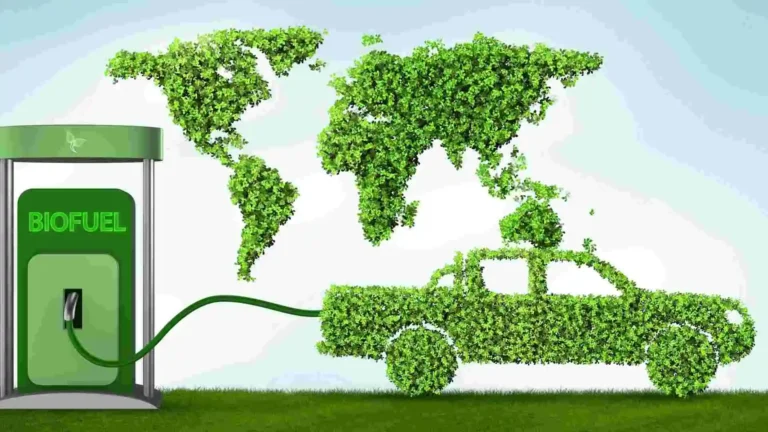 Biofuel: A Sustainable Energy Solution for the Future